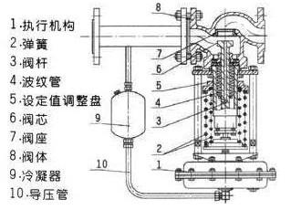 内部精选12码